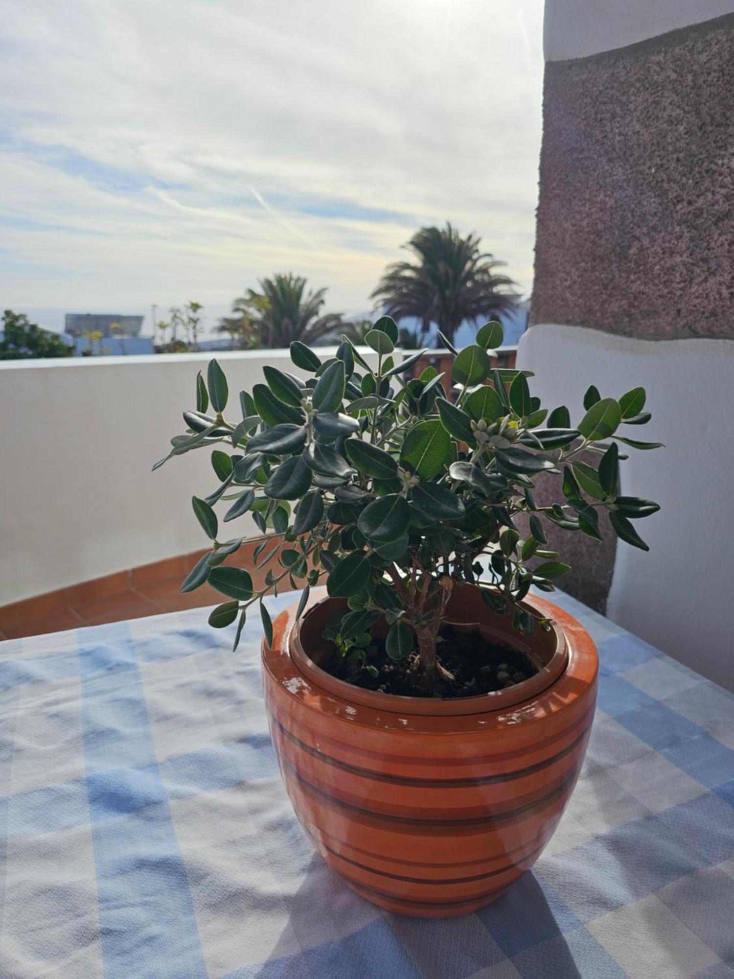 Casa Layka, Con Maravillosas Vistas Al Mar La Asomada  ภายนอก รูปภาพ